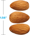 Three almonds side by side: 1.56 inches