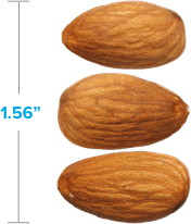 Three almonds side by side: 1.56 inches