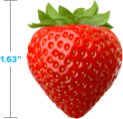 Strawberry: 1.63 inches