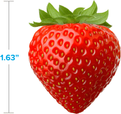 Strawberry: 1.63 inches