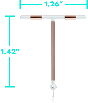 A collection of small items comparable in size to the Paragard IUD